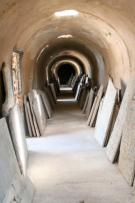 Tunis, Carthage-106